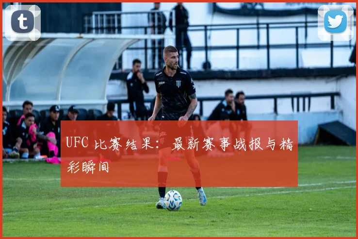 UFC 比赛结果：最新赛事战报与精彩瞬间