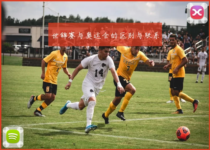 世锦赛与奥运会的区别与联系