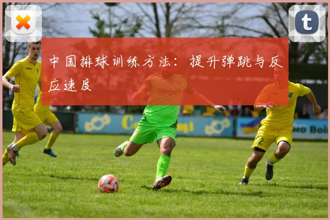 中国排球训练方法:提升弹跳与反应速度