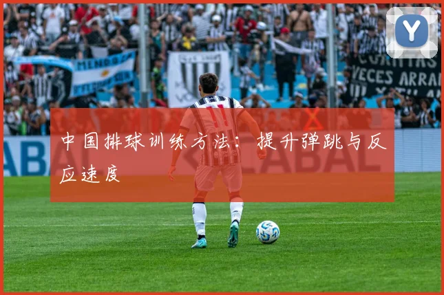 中国排球训练方法：提升弹跳与反应速度