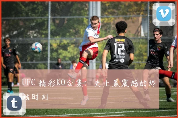 UFC 精彩KO合集：史上最震撼的终结时刻