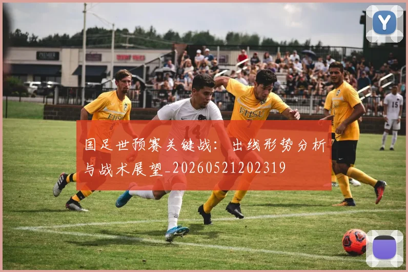 国足世预赛关键战：出线形势分析与战术展望_20260521202319